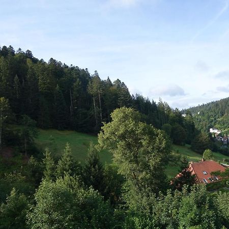 Zum Schwalbennest Apartman Todtmoos Kültér fotó