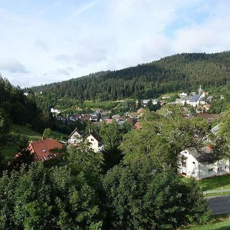Zum Schwalbennest Apartman Todtmoos Kültér fotó