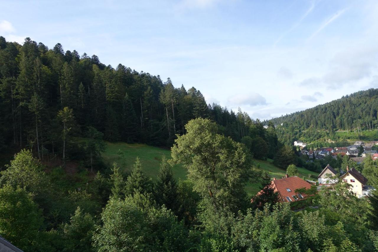 Zum Schwalbennest Apartman Todtmoos Kültér fotó