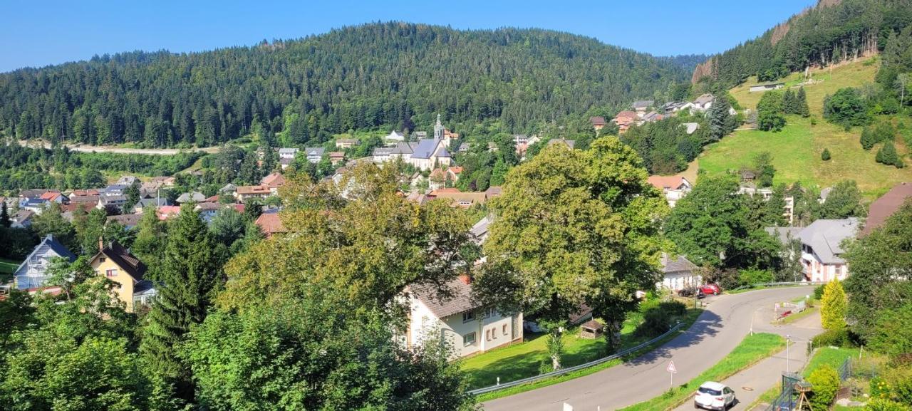 Zum Schwalbennest Apartman Todtmoos Kültér fotó