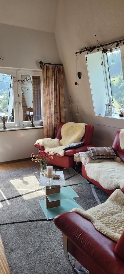 Zum Schwalbennest Apartman Todtmoos Kültér fotó