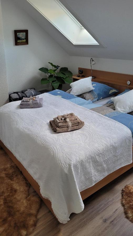 Zum Schwalbennest Apartman Todtmoos Kültér fotó