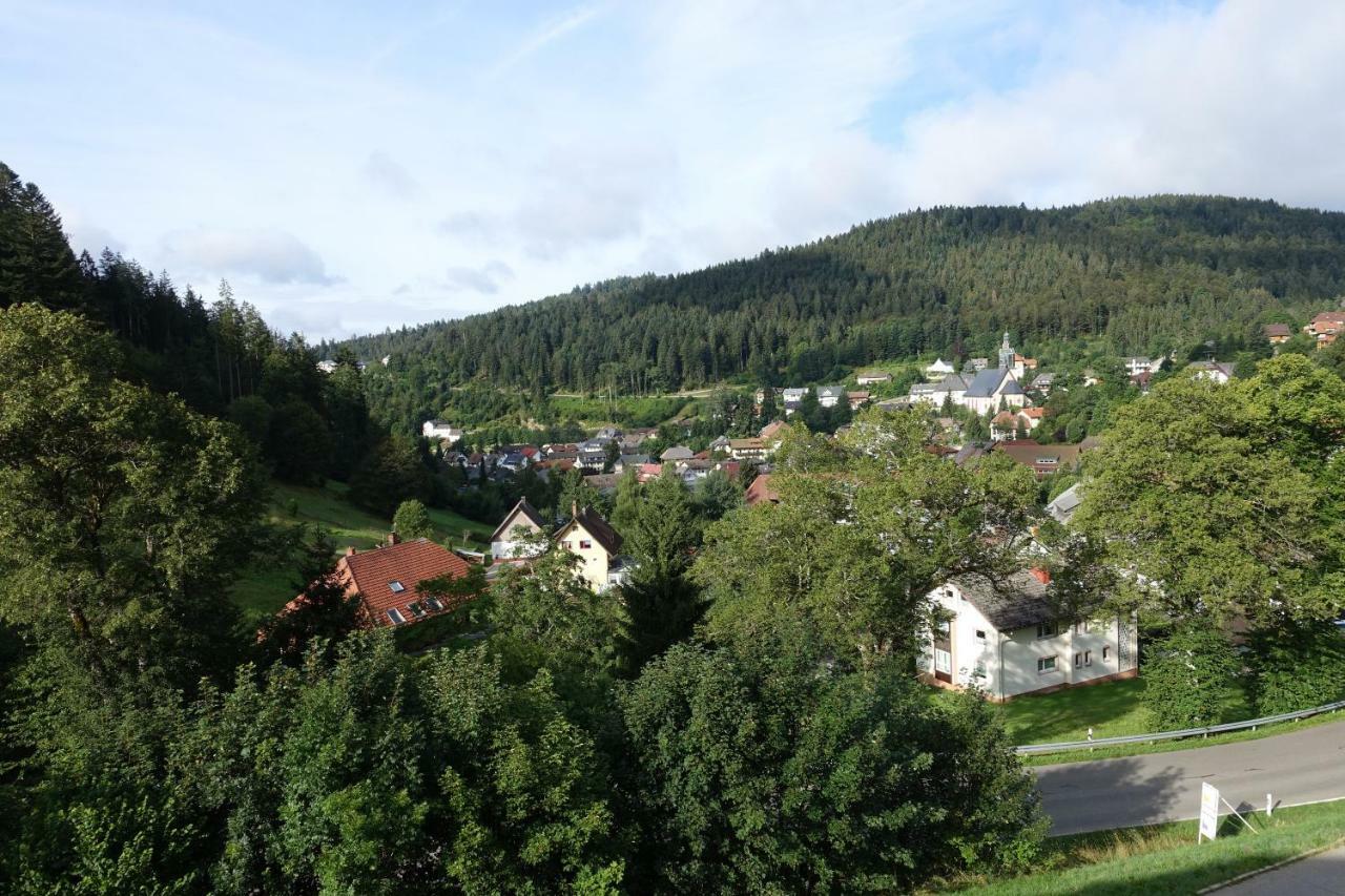 Zum Schwalbennest Apartman Todtmoos Kültér fotó