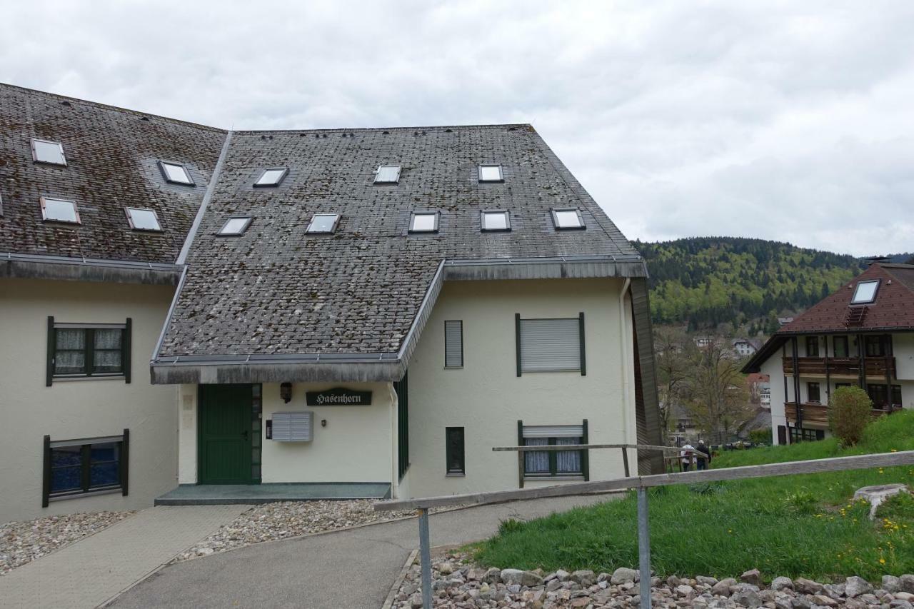 Zum Schwalbennest Apartman Todtmoos Kültér fotó