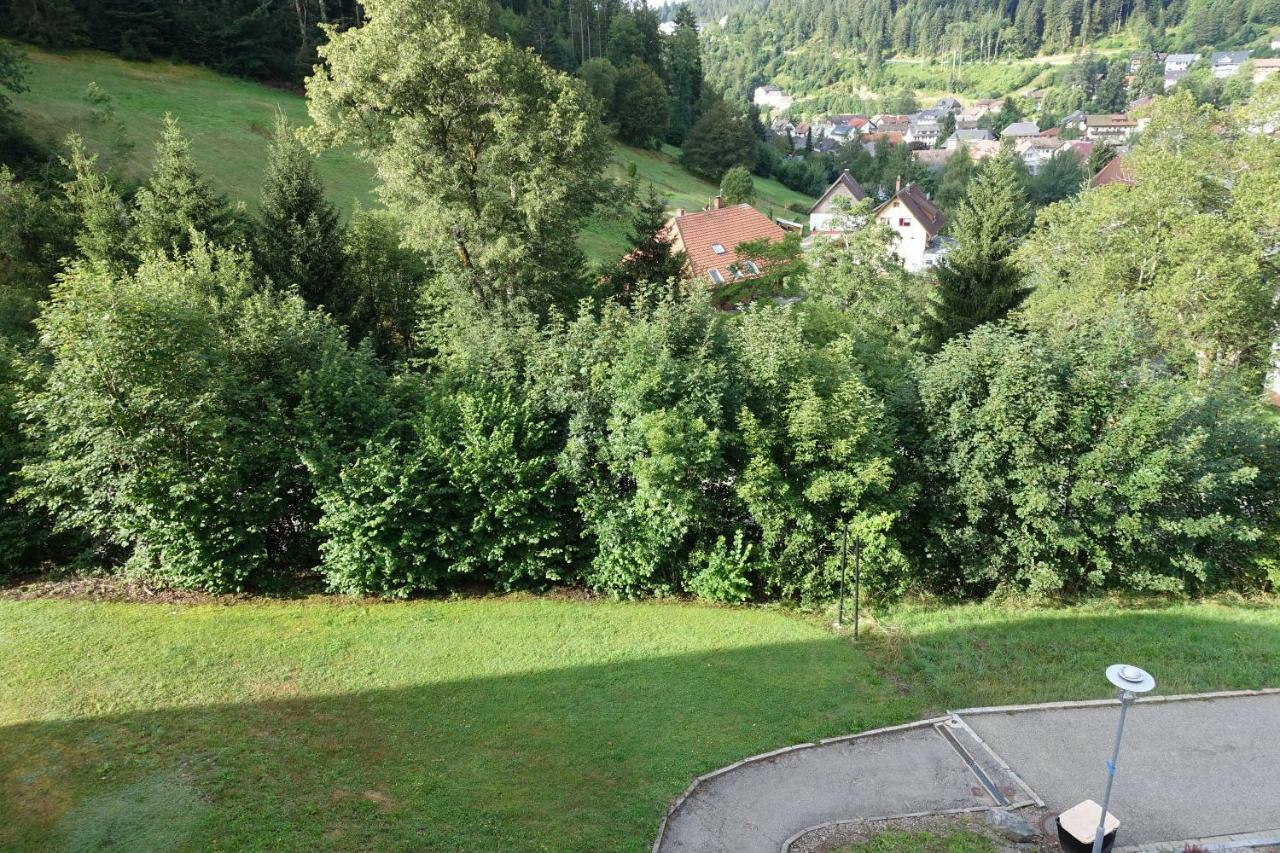 Zum Schwalbennest Apartman Todtmoos Kültér fotó