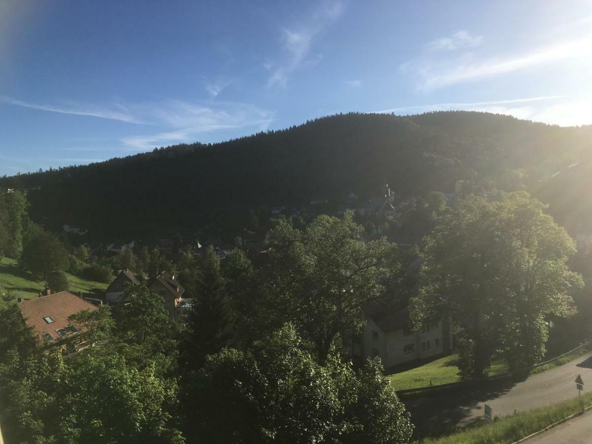 Zum Schwalbennest Apartman Todtmoos Kültér fotó